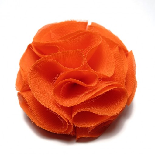 Korsase orange Korsase orange